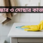 house cleaning services