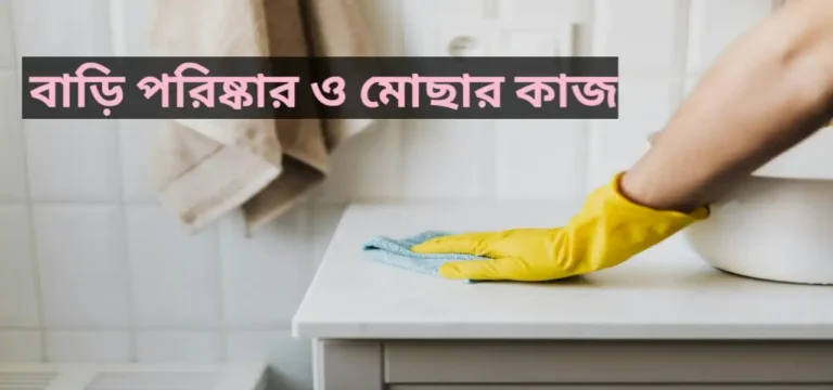 house cleaning services